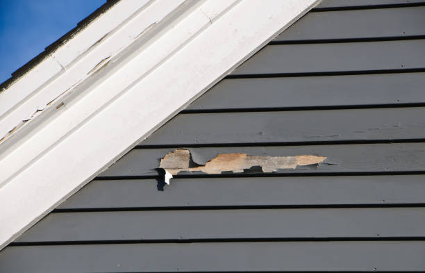 Best Historical Building Siding Restoration  in Leadville North, CO