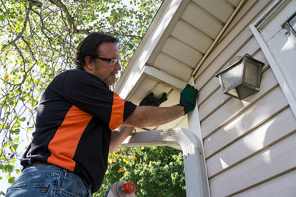 Best Stucco Siding  in Leadville North, CO